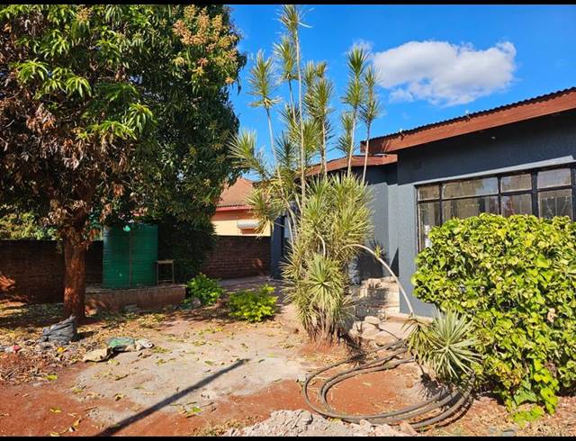 3 BEDROOM PROPERTY TO RENT IN SIBASA